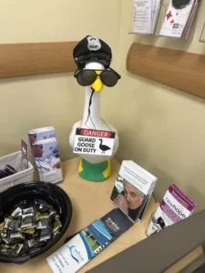 A cool tabletop goose wearing a black hanging tag accessory