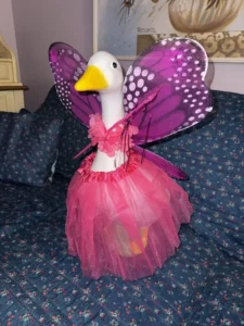 A porch goose dressed as a fairy in a purple costume with delicate wings