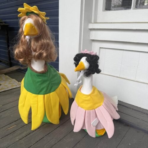 two summer porch goose
