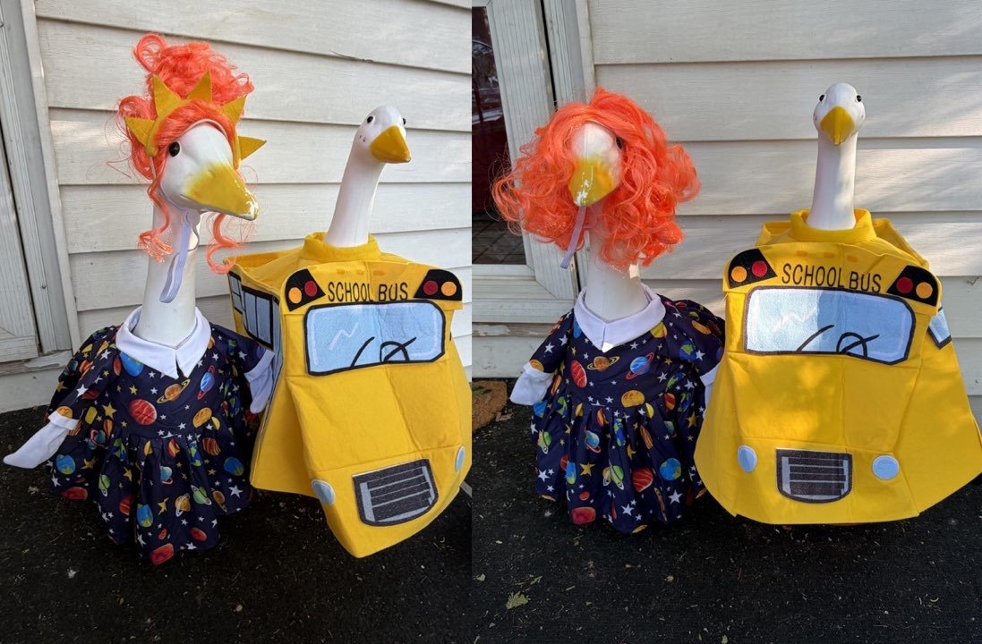 porch goose outfits with wigs
